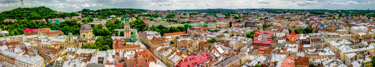 Lviv Section